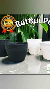 New!! Rattan Pots | White Round Pots | Aesthetic Design | Big White Pots | Thicker and Durable!!!!!