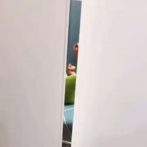 Ném Bóng Dính Bảng Phi Tiêu Bóng Ném Dính Hình Con Vật Tặng Kèm 3 Bóng Và Móc Dính