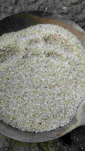 beras menir beras pasir super 500gram pakan hewan ternak anak ayam