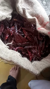 CABE MERAH BESAR KERING 1 KG PACKING TANPA TANGKAI