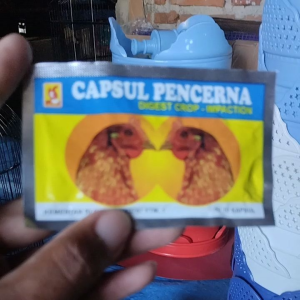 eka farma capsul pencerna ayam 10 kapsul obat lancar tembolok ayam