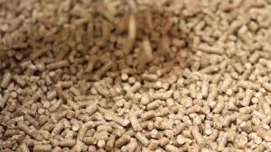 ทรายแมวไม้สน Cat Melody ทรายแมว ออร์แกนิค100% เก็บกลิ่น ไร้สารเคมี ทิ้งชักโครกได้ ขนาด 38 ลิตร