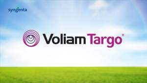 Voliam Targo 063SC Syngenta – Sâu Cuốn Lá Sâu Đục Thân Nhện Gié – Hiệu Quả Cao Cho Lúa Rau Màu 100ml