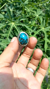 NATURAL CINCIN BACAN DOKO MURAH