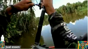 Essen ikan gurame liar & kolam/umpan pancing essen gurame