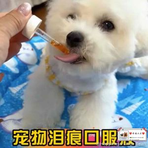 Pets Eye Drops Dog Cat Tear Stain宠物狗狗猫猫去泪腺/泪痕/口服精华液 /Removes stain removal oral liquid essence cat tear gland removal eye care oral liquid