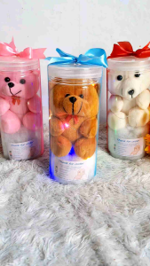 Costume Tulisan souvenir hampers boneka mini jar LED/hadiah wisuda/hadiah ulang tahun/souvenir cantik dan elegan