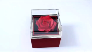 Rotating jewellery box kotak perhiasan premium elegant model putar valentine anniversary pernikahan lamaran ultah birthday gift kado hadiah