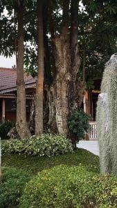 CELANA BAGGYPANTS HITAM  KEKINIAN MURAH BAHAN PARAGUAY TEBAL DAN HALUS  TERBARU DAN TERMURAH