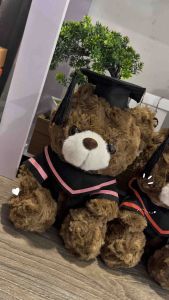 Gấu Bông Tốt Nghiệp Thêu Tên Theo Yêu Cầu ~30cm- tặng kèm túi– Quà Tặng Tốt Nghiệp Ý Nghĩa lưu giữ mãi