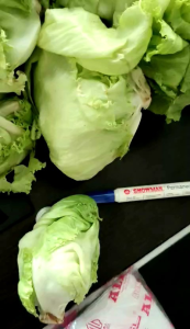 Sayur lettuce/sayur kebab 1kg