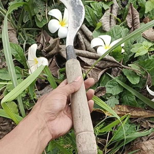 Sabit rumput asli baja super tajam