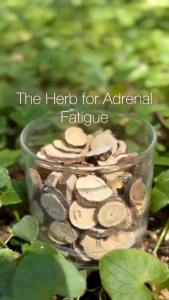 Dried Licorice Root Slices Tea