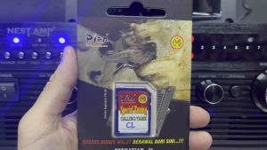 Piro Suara Tarik CL (Swiftlet Sound)