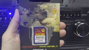 Piro Suara Tarik SLR800 (Swiftlet Sound)