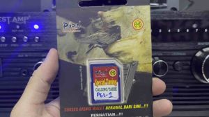 Piro Suara Tarik PGL-1 (Swiftlet Sound)