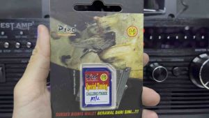 Piro Suara Tarik ATK (Swiftlet Sound)