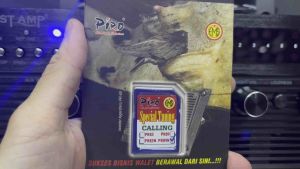 Piro Suara Tarik PR89N (Swiftlet Sound)