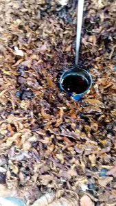 150ml น้ำมันเลียงผาของแท้ ทาแก้อาการปวดสมาน 100% สมัคร