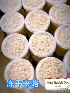 🌺Ready Store Freeze Dried Treats / Meat Dog / Cat / Pet (Wet / Dry / Supplement / Treats) 冻干零食 主食