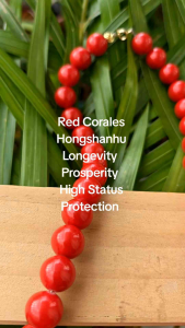 Red Coral Stone Necklace High Quality Courage Fertility Stone Blessed Cleansed Necklace Wealth