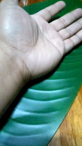 Retractable knife 8 inches long prank knife for April fools Halloween props and any events toys for kids and props for adults.