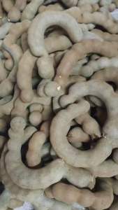 มะขามหวาน พันธุ์สีชมพู แบบฝัก ไม่แกะเปลือก นน.1 กิโลกรัม