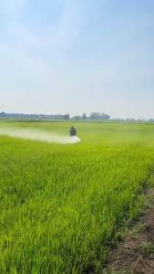 Cần rút inox 15m kéo dài 3m chuyên dụng phun xịt phân thu.ốc tưới cây