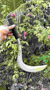 arit rumput cap bintang lima super kuat dan tajem anti rompal