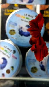 pelet ikan cupang dan segala jenis ikan premium 50gr pf-500