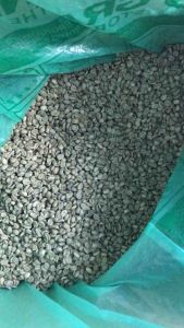 Green Bean Arabika Flores Bajawa Full Wash G1