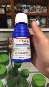 Insektisida Incipio 200SC 100Ml Terbaru Syngenta Untuk Mengendalikan/Membasmi Ulat Dan Kutu