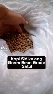 Biji Kopi Mentah (Green Bean/GB) Robusta Sidikalang Natural 1 KG dan 500 Gram