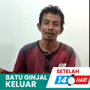 TUGINGGO Obat Batu Ginjal Tugingo 30 Kapsul herbal Original BPOM Halal Paling Yang Ampuh Tanpa Operasi