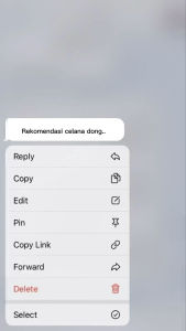 HIGHWAIST KULOT CARGO JEANS WANITA VOLL 1 2024