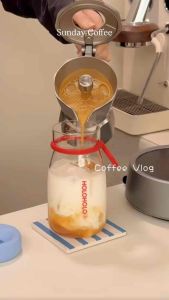 HOLOHOLO Premium Borosilicate Glass Bottle Cup with Glass Straw/ Office Use Tea Cup/ Cold Drink Cup 510ml