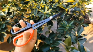 Alat Bonsai dan Berkebun Gunting Pruning Geesong Gagang Merah Hitam