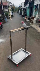 Tangkringan Kandang Burung Macaw Kakatua African Grey