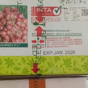 800 Butir Benih Bawang Merah Sanren Exp 2026