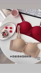 🇲🇾Ready Stock High Quality 2.5cm Push Up Bra Wireless Bra(Tidak Dawai+Span Tebal+Tepi Besar)小胸聚拢内衣Push Up Bra无肩带内衣防滑内衣