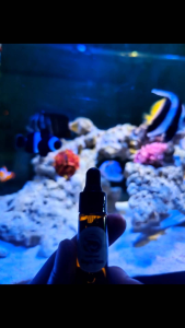 Blue Space Bio Clear แบบแบ่ง