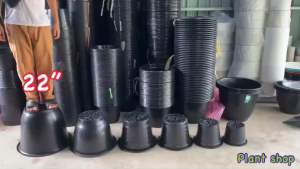 กระถาง 17 นิ้ว ยกมัด 10 ใบ สีดำ แบบหนา กระบวนการดูแลสำหรับการผ่าตัดกระถาง