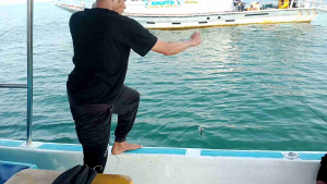 KAIL KOTREKAN KILLER IKAN TEMBANG IKAN KEMBUNG TONGKOL DAN IKAN KARANG LAINYA BISA BUAT DASARAN KE KUATAN LIDER 5KG PAKET 1PC 3PC DAN 10PC