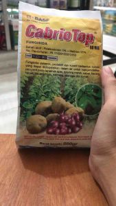 Cabrio Top 60wg 250 Gram Fungisida Mengendalikan Bercak Ungu Hawar Daun