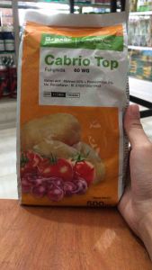 Cabrio Top 60wg 500 Gram Fungisida Mengendalikan Bercak Ungu Hawar Daun
