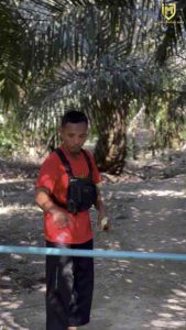 EGREK KING PRO IMJ ORIGINAL