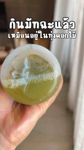 ชาเขียวมัทฉะ - ลดบวมโซเดียม 100% ชาเขียว - พร้อมส่ง ออแกนิค