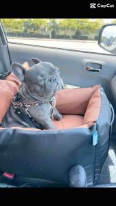 คาร์ซีทเปิดนอน ได้ 50*50cm