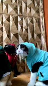 BAJU HOODIE KUPLUK KUCING & ANJING《APHG#3》