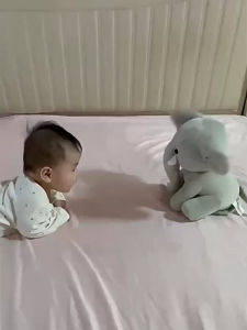 菲比小象 Elephant Phoebe
